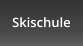 Skischule